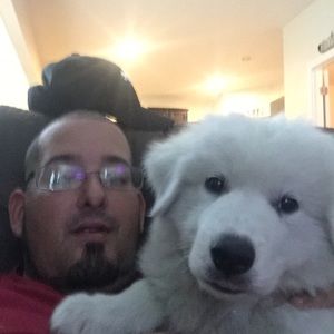 Meet your Posher, Timothy